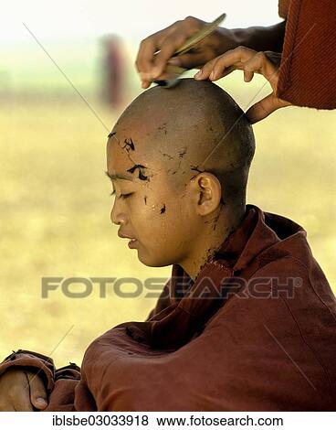 Stock Photo - "Novice having his hair shaved, Amarapura, Mandalay Division, Myanmar, Burma, Asia". Fotosearch