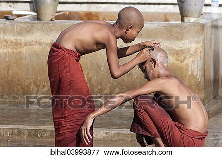 "Novice monks during a head shave in the Shwe Yaunghwe Kyaung Monastery, near Nyaungshwe, Shan State, Inle Lake, Myanmar, Asia" View Large Photo Image Stock Photo - "Novice monks during a head shave in the Shwe Yaunghwe Kyaung Monastery, near Nyaungshwe, Shan State, Inle Lake, Myanmar, Asia". Fotosearch