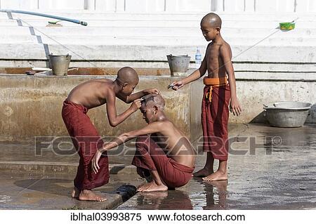 "Novice monks during a head shave in the Shwe Yaunghwe Kyaung Monastery, near Nyaungshwe, Shan State, Inle Lake, Myanmar, Asia" View Large Photo Image Stock Photography - "Novice monks during a head shave in the Shwe Yaunghwe Kyaung Monastery, near Nyaungshwe, Shan State, Inle Lake, Myanmar, Asia". Fotosearch