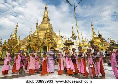 "Novices or nuns accepting offerings, golden main stupa, chedi, Shwedagon Pagoda, Singuttara Hill, Yangon or Rangoon, Yangon Region, Myanmar, Asia" View Large Photo Image Stock Image - "Novices or nuns accepting offerings, golden main stupa, chedi, Shwedagon Pagoda, Singuttara Hill, Yangon or Rangoon, Yangon Region, Myanmar, Asia". Fotosearch