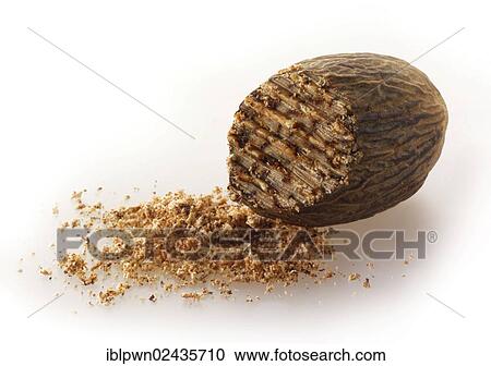 Nutmeg View Large Photo Image Stock Image - Nutmeg. Fotosearch