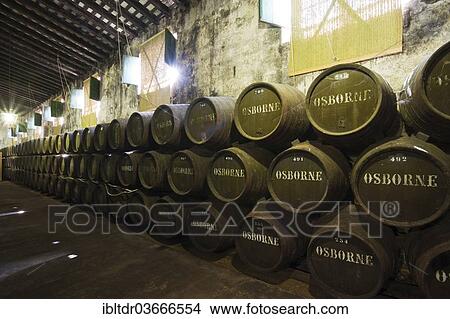 "Oak barrels in a wine cellar in the Osborne Bodega, El Puerto de Santa Maria, Cadiz province, Andalusia, Spain, Europe" View Large Photo Image Picture - "Oak barrels in a wine cellar in the Osborne Bodega, El Puerto de Santa Maria, Cadiz province, Andalusia, Spain, Europe". Fotosearch