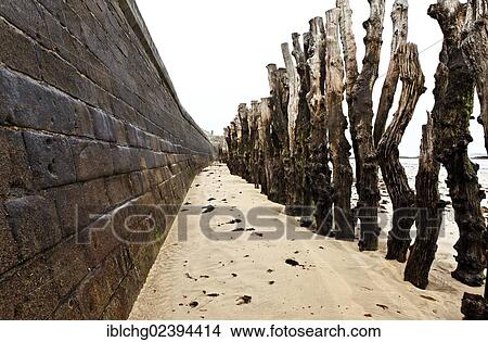 "Oak trunks of the Plage du Sillon beach to protect the walls against the waves assault, Saint Malo, Ille et Vilaine, Brittany, Bretagne, France, Europe" View Large Photo Image Picture - "Oak trunks of the Plage du Sillon beach to protect the walls against the waves assault, Saint Malo, Ille et Vilaine, Brittany, Bretagne, France, Europe". Fotosearch
