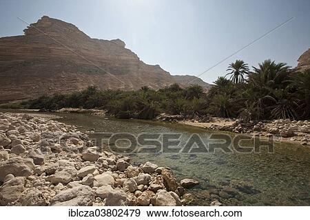 "Oasis, Dhofar, Oman, Asia" View Large Photo Image Stock Photo - "Oasis, Dhofar, Oman, Asia". Fotosearch