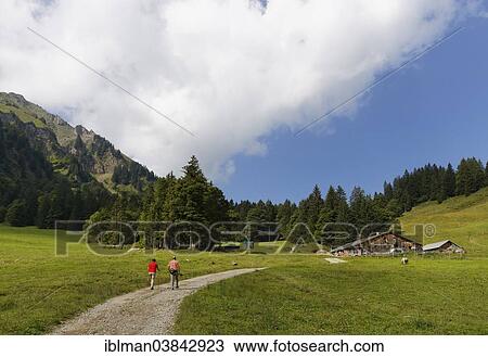 "Obere Falzalpe alp near Schetteregg, Egg, Vorarlberg, Bregenz Forest, Austria, Europe" View Large Photo Image Stock Image - "Obere Falzalpe alp near Schetteregg, Egg, Vorarlberg, Bregenz Forest, Austria, Europe". Fotosearch
