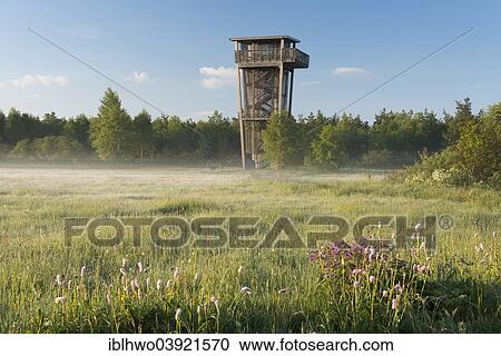 "Observation tower in the Schwarzes Moor nature reserve, high moor, Rhon Biosphere Reserve, Fladungen, Bavaria, Germany, Europe" View Large Photo Image Stock Image - "Observation tower in the Schwarzes Moor nature reserve, high moor, Rhon Biosphere Reserve, Fladungen, Bavaria, Germany, Europe". Fotosearch