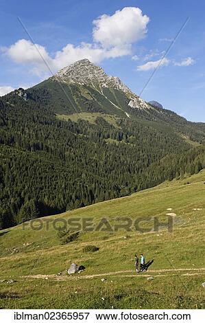 "Ochsenwaldalm alp and Grosser Pyhrgas mountain at the back, Spital am Pyhrn, Pyhrn-Priel, Traunviertel region, Upper Austria, Austria, Europe" View Large Photo Image Stock Photo - "Ochsenwaldalm alp and Grosser Pyhrgas mountain at the back, Spital am Pyhrn, Pyhrn-Priel, Traunviertel region, Upper Austria, Austria, Europe". Fotosearch
