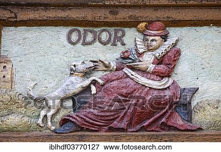 "Odor, Latin for the sense of smell, wood carving, Alte Lateinschule Alfeld building, Alfeld, Lower Saxony, Germany, Europe" View Large Photo Image Stock Photo - "Odor, Latin for the sense of smell, wood carving, Alte Lateinschule Alfeld building, Alfeld, Lower Saxony, Germany, Europe". Fotosearch