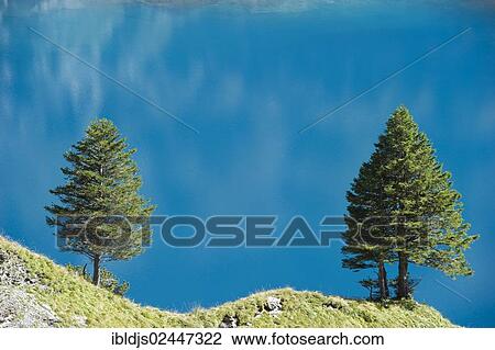 Stock Image - "Oeschinensee, Oeschinen Lake, Bernese Oberland, Canton of Bern, Switzerland, Europe". Fotosearch