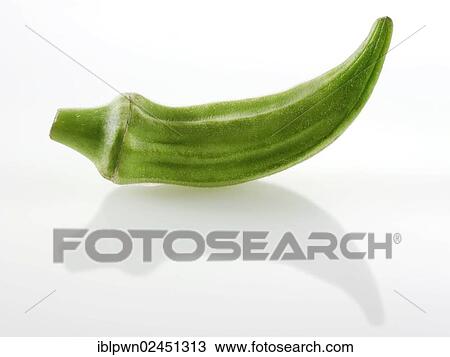 "Okra, Lady's fingers or Gumbo (Abelmoschus esculentus)" View Large Photo Image Stock Image - "Okra, Lady's fingers or Gumbo (Abelmoschus esculentus)". Fotosearch