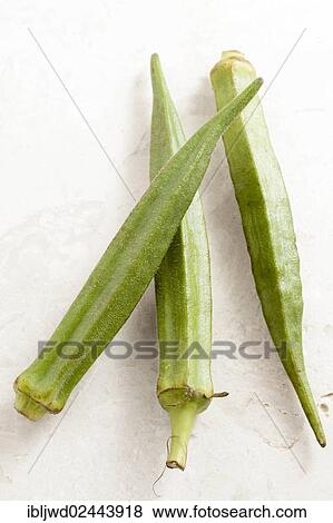 "Okra, Lady's fingers, pods" View Large Photo Image Stock Photo - "Okra, Lady's fingers, pods". Fotosearch