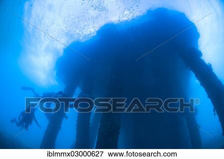 Stock Photo - "Old abandoned pier for tankers and supply boats, overgrown with corals, divers diving beneath the pier, Padre Burgos, Southern Leyte, Philippines, Asia, Padre Burgos, -, Southern Leyte, Philippines, Asia". Fotosearch