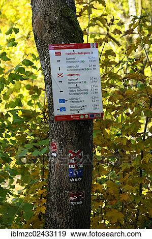 "Old and new hiking signs on a tree, Algersdorf, Franconian Switzerland, Middle Franconia, Bavaria, Germany, Europe, PublicGround, Europe" View Large Photo Image Stock Photo - "Old and new hiking signs on a tree, Algersdorf, Franconian Switzerland, Middle Franconia, Bavaria, Germany, Europe, PublicGround, Europe". Fotosearch