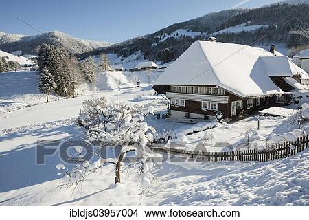 Picture - "Old Black Forest house and snow-covered landscape, Prag, Todtnau, Black Forest, Baden-Wuerttemberg, Germany, Europe". Fotosearch
