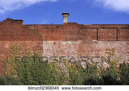 "Old brick wall of a former brush factory overgrown with Japanese Creeper or Boston Ivy (Parthenocissus tricuspidata), view from the Garden of the Hesperides, Johannisstr. 41-47, Johannis district, Nuremberg, Middle Franconia, Bavaria, Germany, Europe" View Large Photo Image Stock Photography - "Old brick wall of a former brush factory overgrown with Japanese Creeper or Boston Ivy (Parthenocissus tricuspidata), view from the Garden of the Hesperides, Johannisstr. 41-47, Johannis district, Nuremberg, Middle Franconia, Bavaria, Germany, Europe". Fotosearch