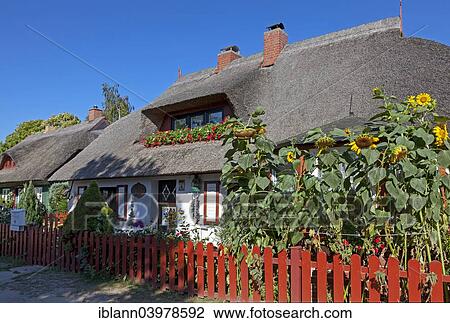 "Old captain's houses, Prerow, Fischland-Darss-Zingst, Mecklenburg-Western Pomerania, Germany, Europe" View Large Photo Image Stock Image - "Old captain's houses, Prerow, Fischland-Darss-Zingst, Mecklenburg-Western Pomerania, Germany, Europe". Fotosearch
