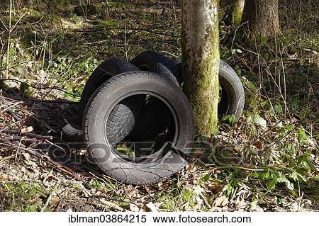 "Old car tyres in a forest, Bavaria, Germany, Europe" View Large Photo Image Stock Photography - "Old car tyres in a forest, Bavaria, Germany, Europe". Fotosearch