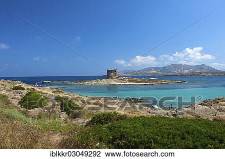 "Old defence tower off the beach, Stintino, Sardinia, Italy, Europe" View Large Photo Image Stock Image - "Old defence tower off the beach, Stintino, Sardinia, Italy, Europe". Fotosearch