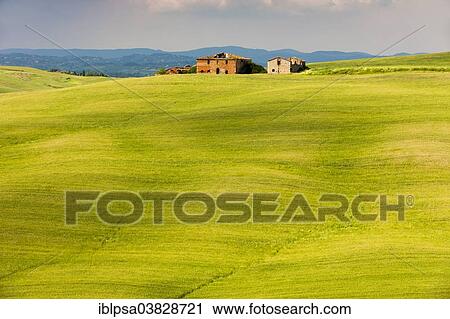 "Old farmhouse on a hill of Crete Senesi, Tuscany, Italy, Europe" View Large Photo Image Stock Image - "Old farmhouse on a hill of Crete Senesi, Tuscany, Italy, Europe". Fotosearch