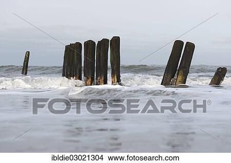 "Old groynes on the North Sea shore, Nordfrriesland, Amrum, Amrum, North Frisian Islands, Schleswig-Holstein, Germany, Europe" View Large Photo Image Picture - "Old groynes on the North Sea shore, Nordfrriesland, Amrum, Amrum, North Frisian Islands, Schleswig-Holstein, Germany, Europe". Fotosearch