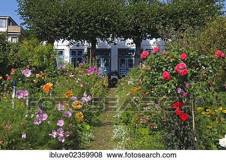 "Old house with decorative turrets and lush blooming cottage garden, Blankenese quarter on the Elbe river, with cosmeas, dahlias, in Strandweg street, Altona district, Hamburg, Germany, Europe" View Large Photo Image Stock Photo - "Old house with decorative turrets and lush blooming cottage garden, Blankenese quarter on the Elbe river, with cosmeas, dahlias, in Strandweg street, Altona district, Hamburg, Germany, Europe". Fotosearch