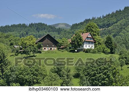 "Old houses in the typical Black Forest architecture-style, half-timbered houses, Ottenhofen im Schwarzwald, Black Forest, Baden-Wurttemberg, Germany, Europe" View Large Photo Image Stock Image - "Old houses in the typical Black Forest architecture-style, half-timbered houses, Ottenhofen im Schwarzwald, Black Forest, Baden-Wurttemberg, Germany, Europe". Fotosearch