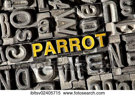 Old lead letters forming the word PARROT View Large Photo Image Stock Photography - Old lead letters forming the word PARROT. Fotosearch