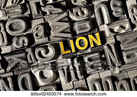 Picture - "Old lead letters forming the word """"LION""""". Fotosearch