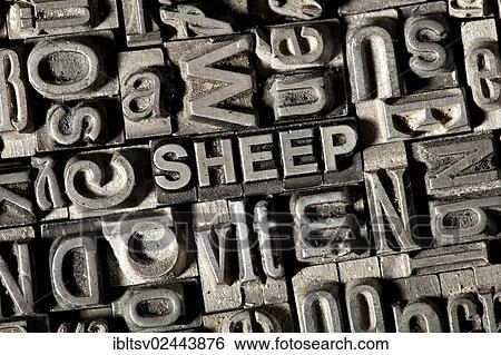 Old lead letters forming the word SHEEP View Large Photo Image Stock Photograph - Old lead letters forming the word SHEEP. Fotosearch