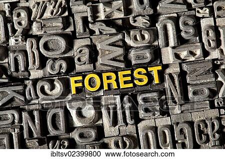 "Old lead letters forming the word """"FOREST""""" View Large Photo Image Stock Image - "Old lead letters forming the word """"FOREST""""". Fotosearch
