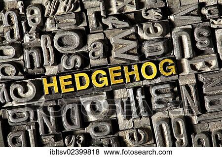 Stock Photo - "Old lead letters forming the word """"HEDGEHOG""""". Fotosearch