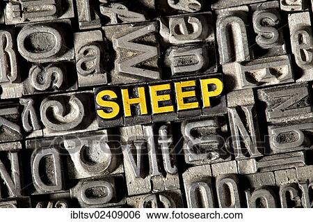 "Old lead letters forming the word """"SHEEP""""" View Large Photo Image Stock Photograph - "Old lead letters forming the word """"SHEEP""""". Fotosearch
