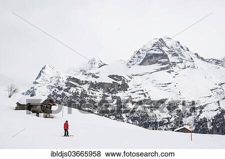 "Old log cabin and skier, Bernese Oberland with Mt Eiger in winter, Alp Gimmeln, Murren, Bernese Oberland, Canton of Bern, Switzerland, Europe" View Large Photo Image Stock Photo - "Old log cabin and skier, Bernese Oberland with Mt Eiger in winter, Alp Gimmeln, Murren, Bernese Oberland, Canton of Bern, Switzerland, Europe". Fotosearch