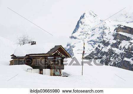 "Old log cabin and the Bernese Oberland with Mt Eiger in winter, Alp Gimmeln, Murren, Bernese Oberland, Canton of Bern, Switzerland, Europe" View Large Photo Image Stock Image - "Old log cabin and the Bernese Oberland with Mt Eiger in winter, Alp Gimmeln, Murren, Bernese Oberland, Canton of Bern, Switzerland, Europe". Fotosearch