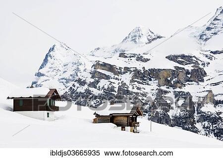 "Old log cabins in the Bernese Oberland with Mt Eiger in winter, Alp Gimmeln, Murren, Bernese Oberland, Canton of Bern, Switzerland, Europe" View Large Photo Image Stock Photography - "Old log cabins in the Bernese Oberland with Mt Eiger in winter, Alp Gimmeln, Murren, Bernese Oberland, Canton of Bern, Switzerland, Europe". Fotosearch