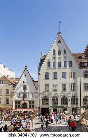 "Old market Varna trug, at the Viru street in the old town, Tallinn, Estonia, Europe" View Large Photo Image Stock Photo - "Old market Varna trug, at the Viru street in the old town, Tallinn, Estonia, Europe". Fotosearch