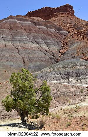 "Old Paria, Pahreah Townsite, movie set, Painted Desert, Vermilion Cliffs, various rock strata of the Rimrocks, Grand Staircase-Escalante National Monument, GSENM, Utah, Southwestern USA, USA" View Large Photo Image Stock Image - "Old Paria, Pahreah Townsite, movie set, Painted Desert, Vermilion Cliffs, various rock strata of the Rimrocks, Grand Staircase-Escalante National Monument, GSENM, Utah, Southwestern USA, USA". Fotosearch