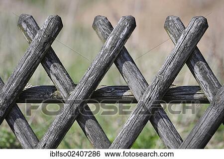 "Old picket fence, detail, Thuringia, Germany, Europe" View Large Photo Image Stock Photograph - "Old picket fence, detail, Thuringia, Germany, Europe". Fotosearch