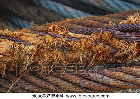 Picture - "Old rope, Hvide Sande, Jutland, Denmark, Europe". Fotosearch