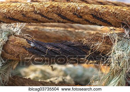 "Old rope, Hvide Sande, Jutland, Denmark, Europe" View Large Photo Image Picture - "Old rope, Hvide Sande, Jutland, Denmark, Europe". Fotosearch
