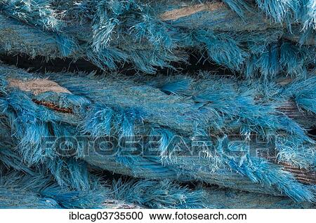 Stock Image - "Old rope, Hvide Sande, Jutland, Denmark, Europe". Fotosearch