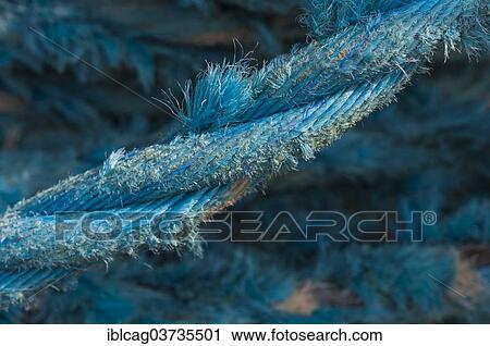 "Old rope, Hvide Sande, Jutland, Denmark, Europe" View Large Photo Image Stock Image - "Old rope, Hvide Sande, Jutland, Denmark, Europe". Fotosearch