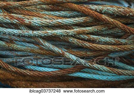 Stock Photo - "Old rope, Hvide Sande, Jutland, Denmark, Europe". Fotosearch
