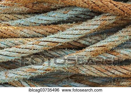 Stock Photograph - "Old rope, Hvide Sande, Jutland, Denmark, Europe". Fotosearch