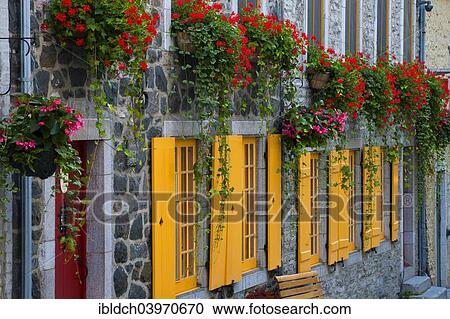 "Old stone house with yellow shutters, Rue du Petit Champlain, Lower Town, Quebec, Canada, North America" View Large Photo Image Stock Image - "Old stone house with yellow shutters, Rue du Petit Champlain, Lower Town, Quebec, Canada, North America". Fotosearch