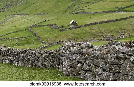 "Old stone walls, fields, Hattarvik, Fugloy, Faroe Islands, Denmark, Europe" View Large Photo Image Stock Photograph - "Old stone walls, fields, Hattarvik, Fugloy, Faroe Islands, Denmark, Europe". Fotosearch