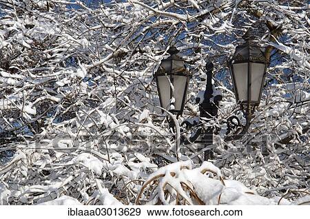 "Old street lamps, snow-covered tree, Odessa, Odessa Oblast, Ukraine, Europe" View Large Photo Image Stock Photo - "Old street lamps, snow-covered tree, Odessa, Odessa Oblast, Ukraine, Europe". Fotosearch