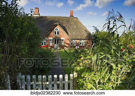 "Old thatched cottage, Westerhever, Eiderstedt, North Frisia, Schleswig-Holstein, Germany, Europe" View Large Photo Image Stock Image - "Old thatched cottage, Westerhever, Eiderstedt, North Frisia, Schleswig-Holstein, Germany, Europe". Fotosearch