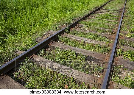 "Old train tracks, Gampola, Central Province, Sri Lanka, Asia" View Large Photo Image Picture - "Old train tracks, Gampola, Central Province, Sri Lanka, Asia". Fotosearch