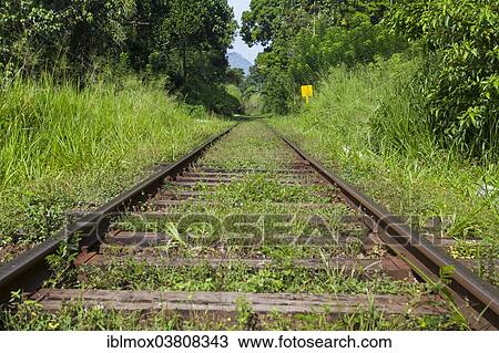 Stock Image - "Old train tracks, Gampola, Central Province, Sri Lanka, Asia". Fotosearch